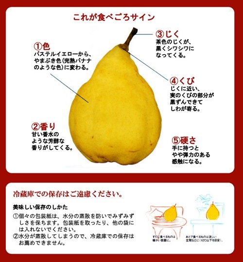 ル・レクチェ（新潟県産西洋なし）の食べごろと保存方法