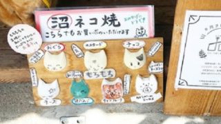 新潟いいね ページ 144