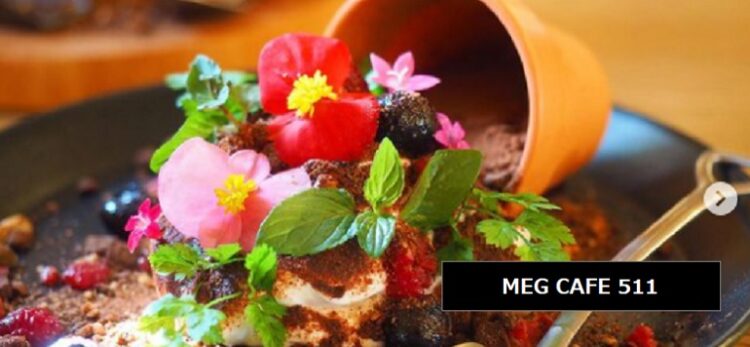 SNS映えするまるで鉢植えのお花も食べれるスイーツ　MEG CAFE 511　新潟県見附市新幸町