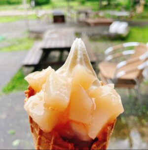 いもり池　芭蕉苑の白桃ソフトクリーム　新潟県妙高市関川