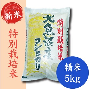 特別栽培米8割減々　北魚沼産コシヒカリ　新潟県のお米