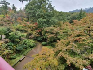 弥彦公園もみじ谷　観月橋からの紅葉の風景（眺め）新潟県弥彦村
