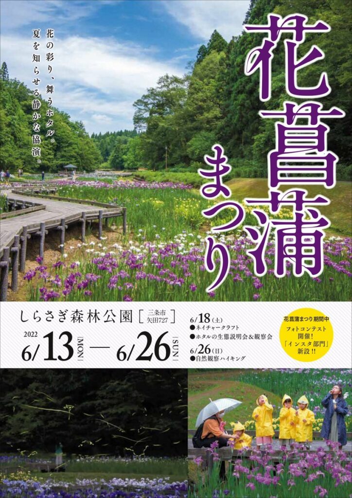花菖蒲まつり　夜はホタルが幻想的　しらさぎ森林公園　新潟県三条市矢田