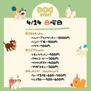 犬のイベント　アジリティー競技会　ミズベリング三条　飲食出店情報　新潟県三条市