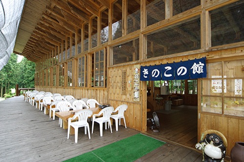 三川観光きのこ園で秋の味覚を満喫!きのこランチを堪能
