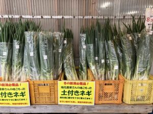 地元農家さんの土付きねぎが販売中！産直とよさか　農産物直売所　新潟市北区