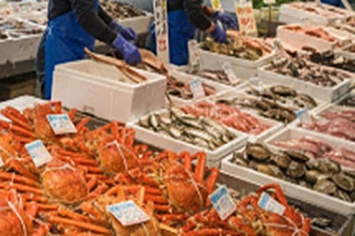 角上魚類で買うべき！冬の味覚ランキング