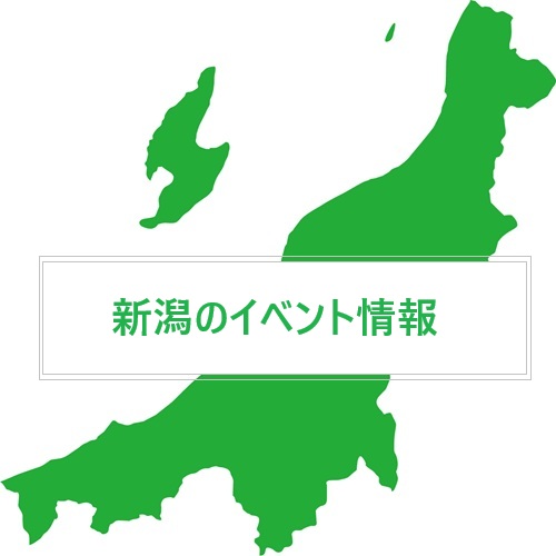 【関川村】雪壁が灯る幻想的な夜。2026年「おおいし・どもんこ祭り」開催予定