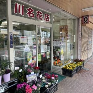 新津「川名花店」100種類の花が並ぶ老舗生花店