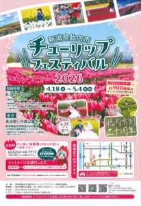 【2026年】80万本の絶景！胎内市チューリップフェスティバルの見どころ完全ガイド