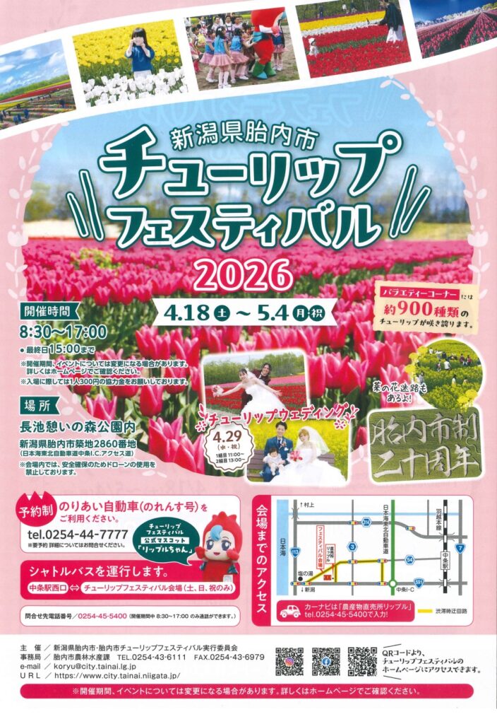 【2026年】80万本の絶景！胎内市チューリップフェスティバルの見どころ完全ガイド