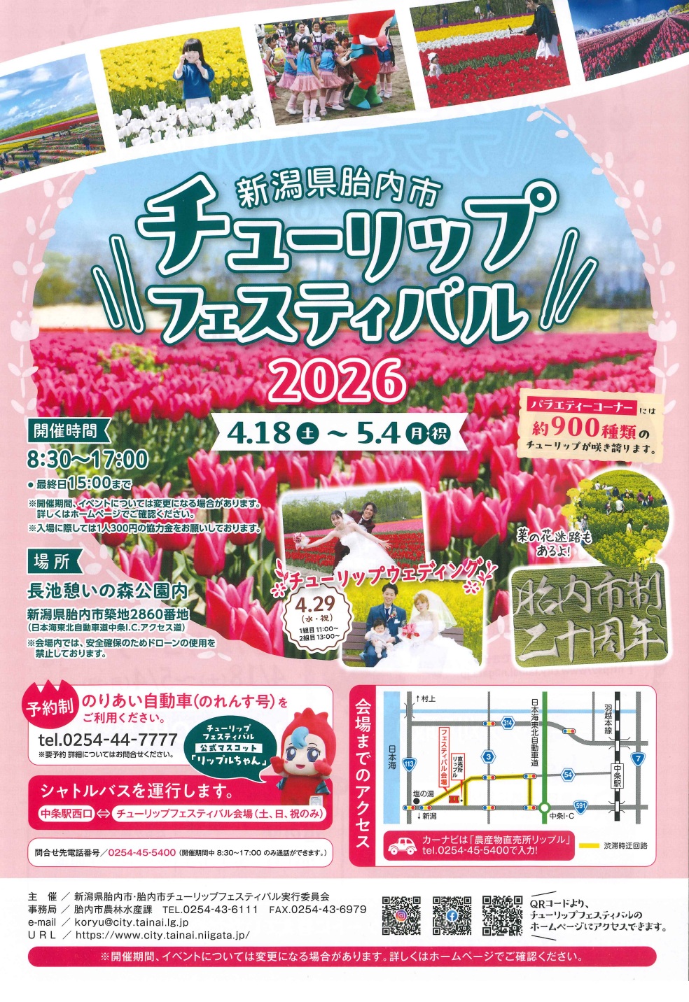 【2026年】80万本の絶景！胎内市チューリップフェスティバルの見どころ完全ガイド