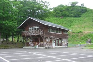 【阿賀町】わらびが採り放題!?「丸渕観光わらび園」が7月5日まで営業中!週末や平日のプチお出かけに最適