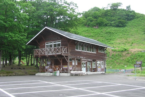 【阿賀町】わらびが採り放題！？「丸渕観光わらび園」が7月5日まで営業中！週末や平日のプチお出かけに最適