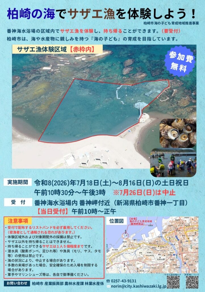 【柏崎】夏の海でサザエ獲り体験!?参加費無料で持ち帰りもOKな注目イベントが開催!2026年7月18日~8月16日(土日祝日)