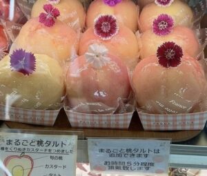 【見附市】田の口屋の「まるごと桃のタルト」が今年もスタート！