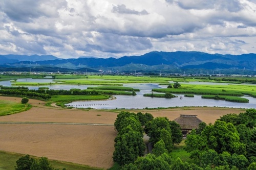 福島潟自然文化祭2026が9月9日開催！巨大アート「雁迎灯」と秋の福島潟を楽しもう