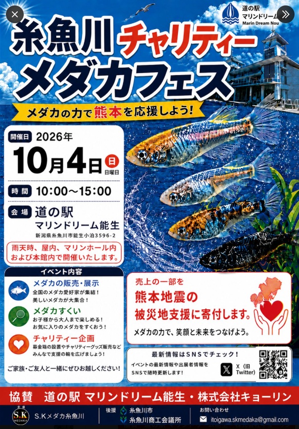 【糸魚川】熊本を応援しよう｜糸魚川チャリティーメダカフェス2026が10/4開催