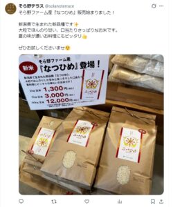 【新米速報】新潟の期待の新品種「なつひめ」が発売開始！そら野テラスでの販売情報・味の特徴・価格まとめ