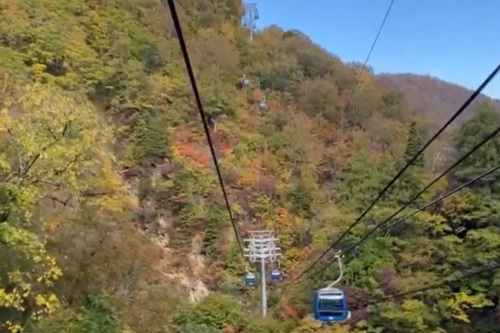 【新潟の紅葉2026年見頃】妙高市・笹ヶ峰高原と湯沢町「苗場ドラゴンドラ」の絶景スポットを紹介