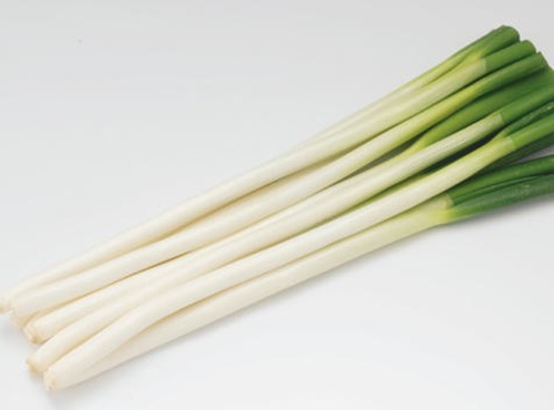 【新潟】「やわ肌ねぎ」の出荷はじまる！美味しい見分け方やおすすめの食べ方