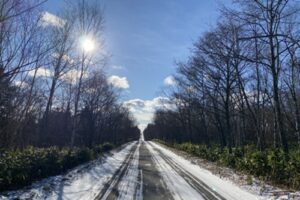 暖冬？ドカ雪？今シーズンの新潟の雪はどうなる？（2026年-2027年）